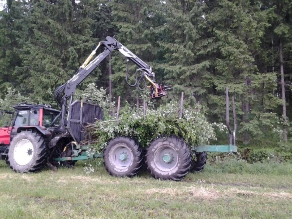 Häcktrimning med skogsbruksmaskin